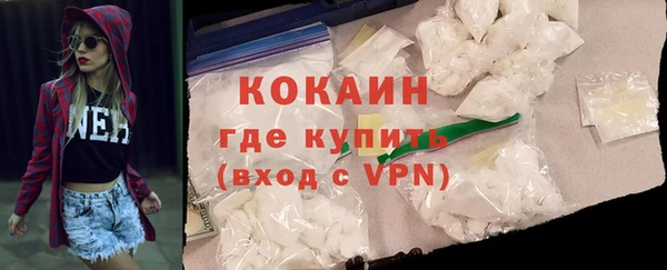 сатива Арсеньев
