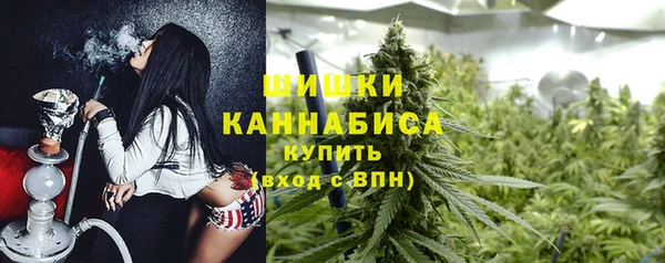 сатива Арсеньев