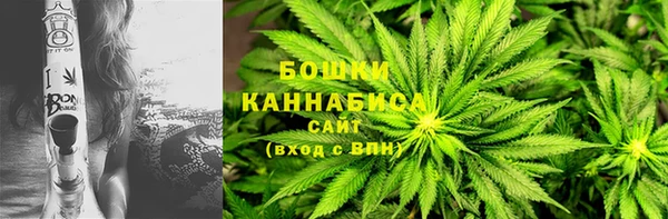 сатива Арсеньев