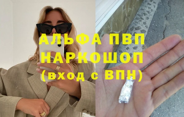сатива Арсеньев