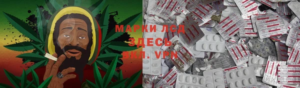 сатива Арсеньев
