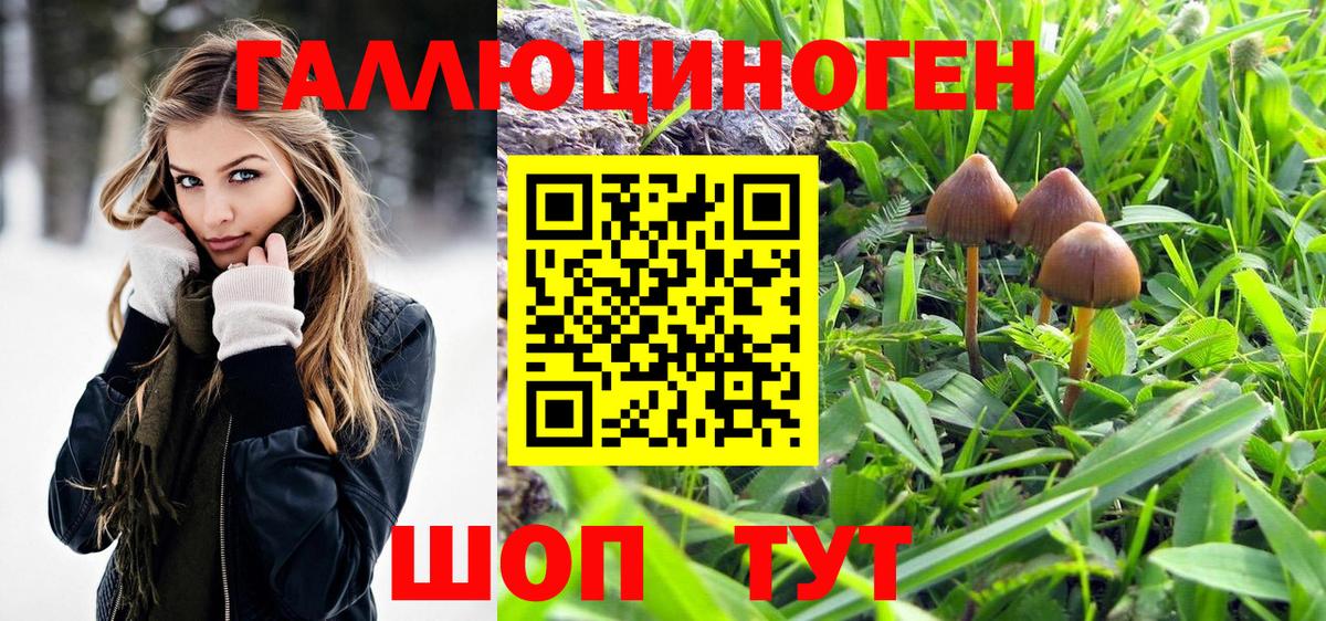 Псилоцибиновые грибы GOLDEN TEACHER Дзержинск